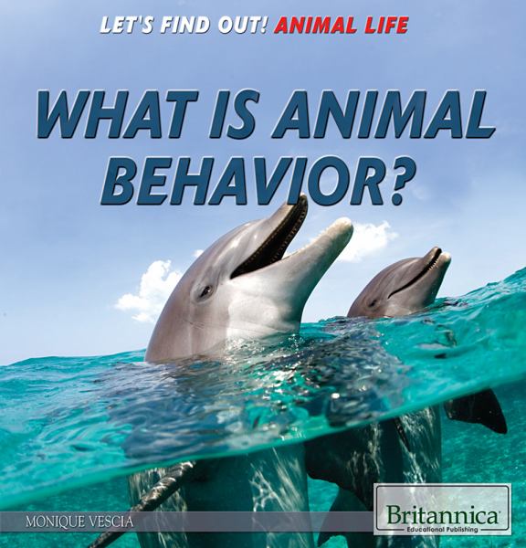 What is animal behavior? (Let's Find Out! Animal Life)