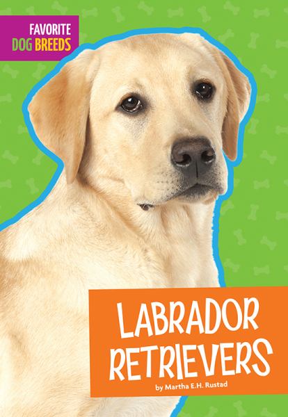 Labrador retrievers (Favorite Dog Breeds)
