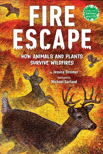 Fire escape : how animals and plants survive wildfires