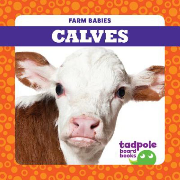Calves (Farm Babies)