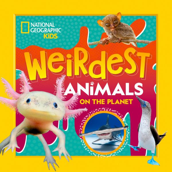 Weirdest animals on the planet