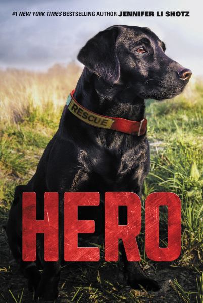 Hero (Hero, Book 1)