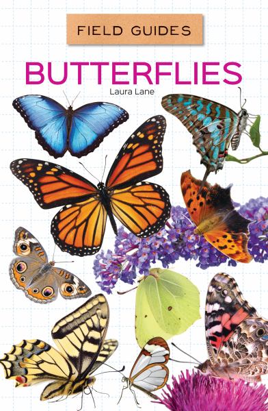 Butterflies (Field Guides)