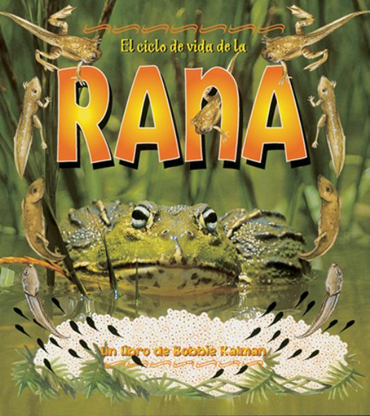 El ciclo de vida de la rana (Life Cycle)