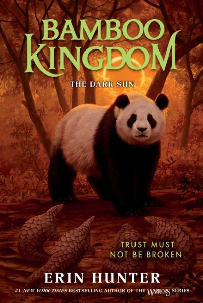The dark sun (Bamboo Kingdom, Book 4)