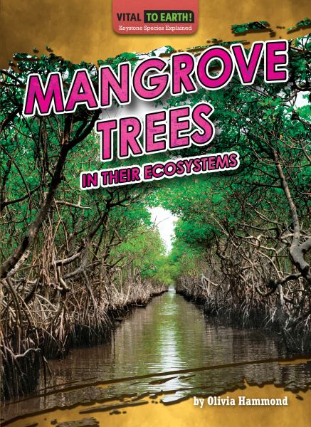 Mangrove trees in their ecosystems (Vital to Earth! Keystone Species Explained)