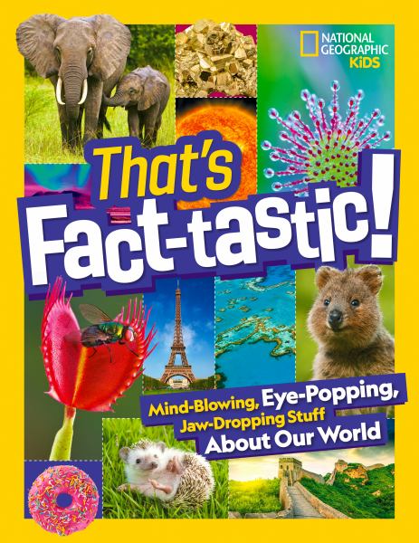 That's fact-tastic! : mind-blowing, eye-popping, jaw-dropping stuff about our world. (Bet You Didn't Know)