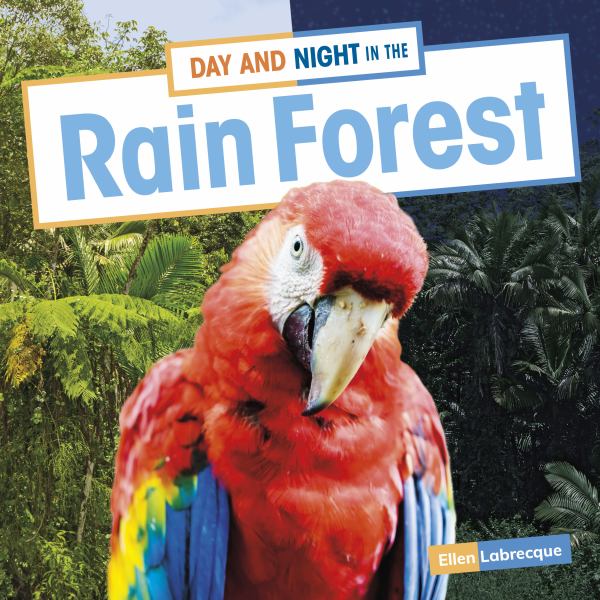 Day and night in the rain forest (Habitat Days and Nights)