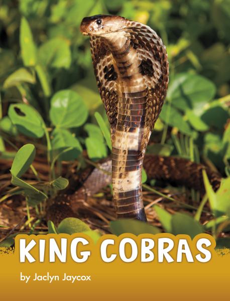 King cobras (Pebble Explore: Animals)