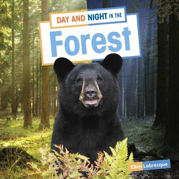 Day and night in the forest (Habitat Days and Nights)