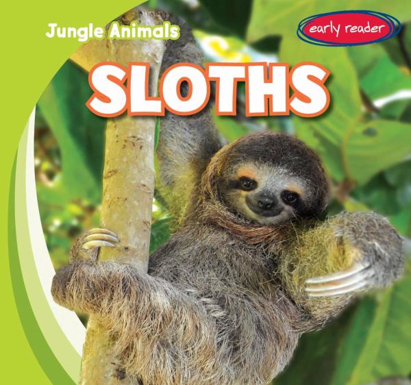 Sloths (Jungle Animals)