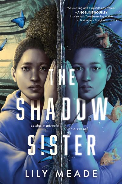 The shadow sister