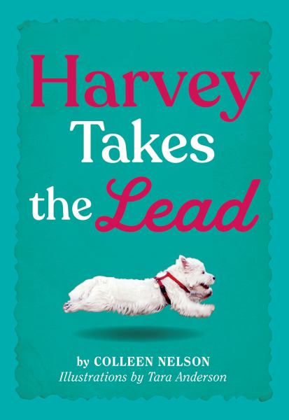 Harvey takes the lead (Harvey Stories, Book 3)