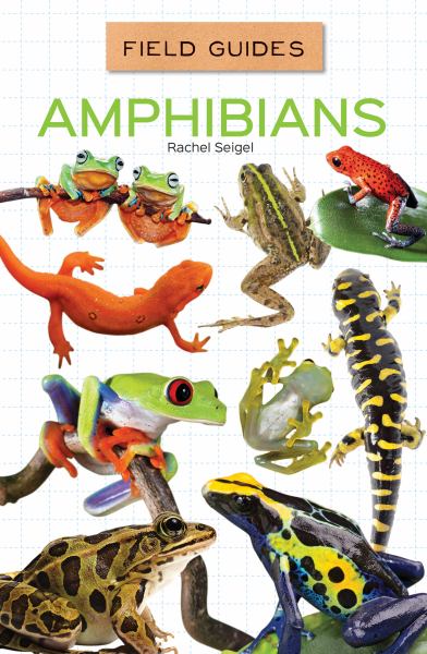 Amphibians (Field Guides)