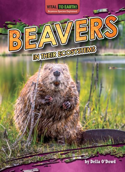 Beavers in their ecosystems (Vital to Earth! Keystone Species Explained)