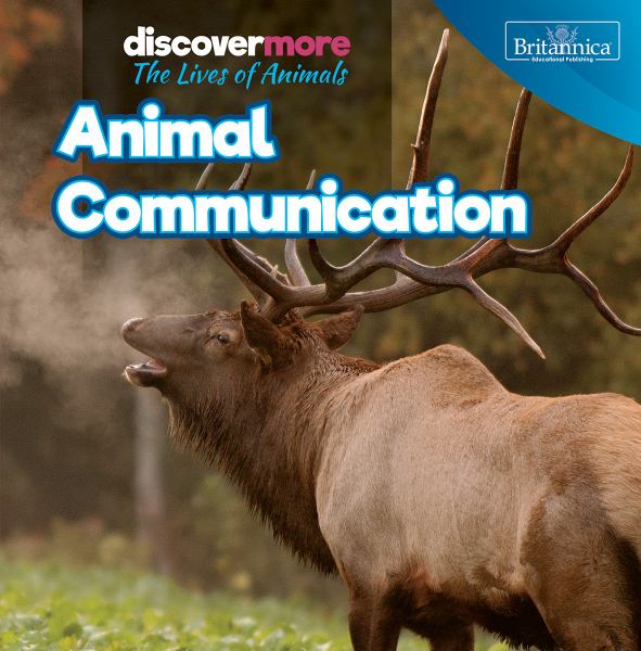 Animal communication (Discover More: The Lives of Animals)