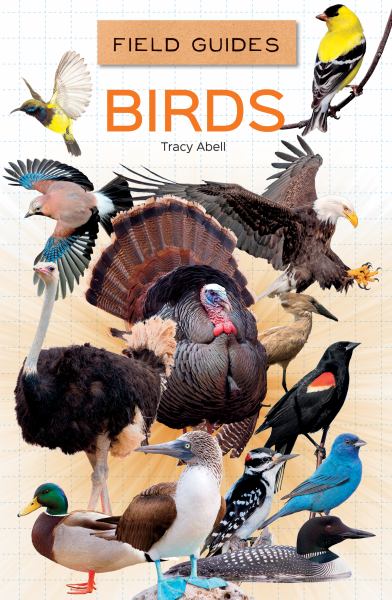 Birds (Field Guides for Kids)