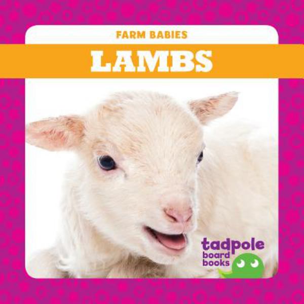 Lambs (Farm Babies)