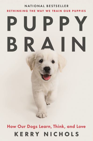 Puppy brain : how our dogs learn, grow, and love