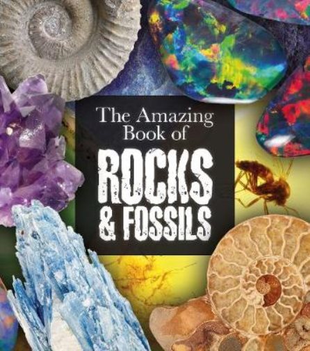 Amazing Book Of Rocks & Fossils