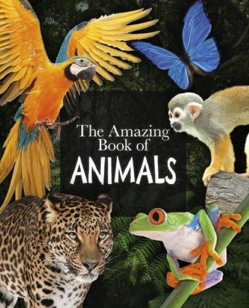The amazing book of animals