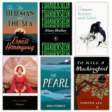 D'Evelyn Required Reading Bundle - Grade 8