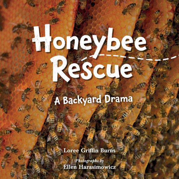 Honeybee rescue : a backyard drama