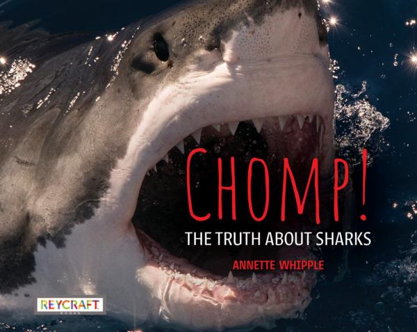 Chomp! : the truth about sharks (Truth About...(Reycraft))