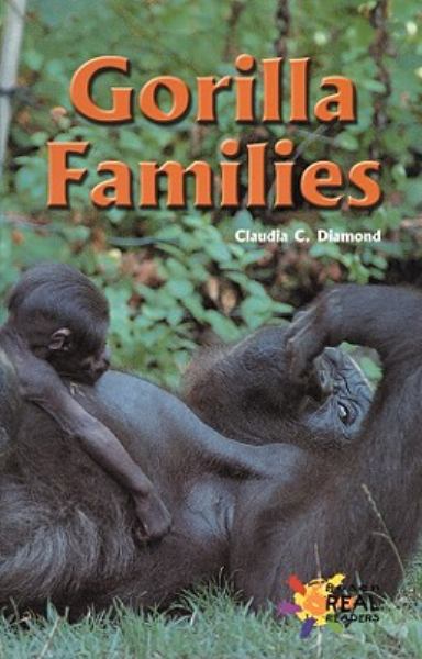 Gorilla families (Reading Room Collection: Animals)