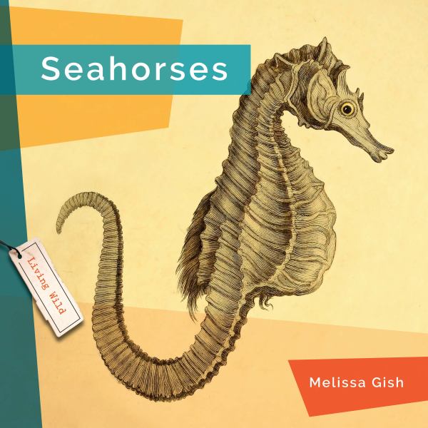 Seahorses (Living Wild)