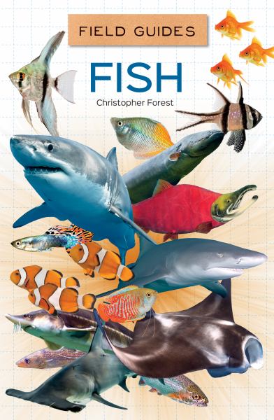 Fish (Field Guides for Kids)