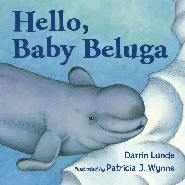Hello, baby beluga