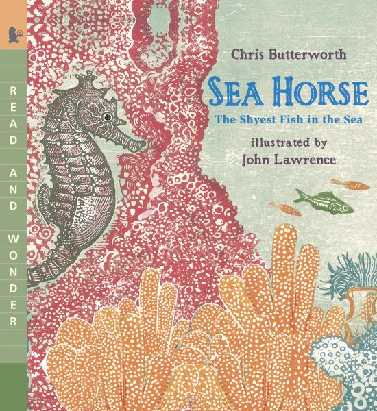 Sea horse : the shyest fish in the sea (Read and Wonder)