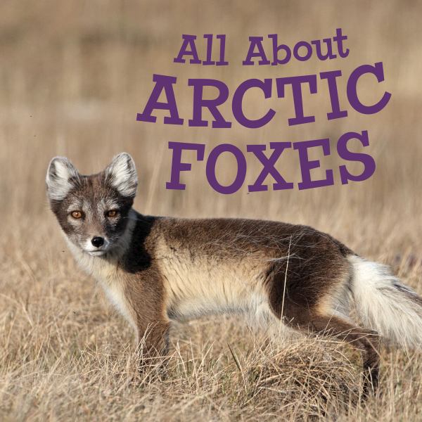 All about arctic foxes