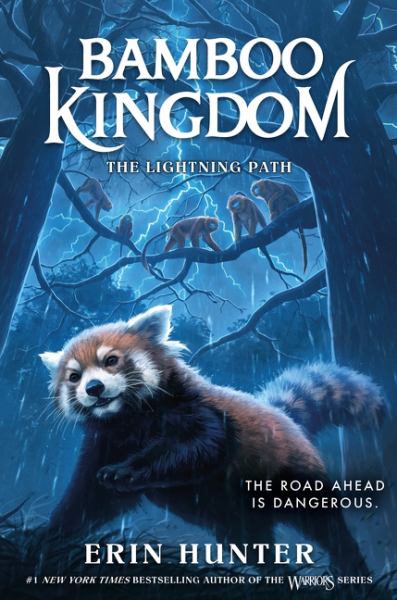 The lightning path (Bamboo Kingdom, Book 5)