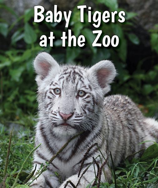 Baby tigers at the zoo (All About Baby Zoo Animals)