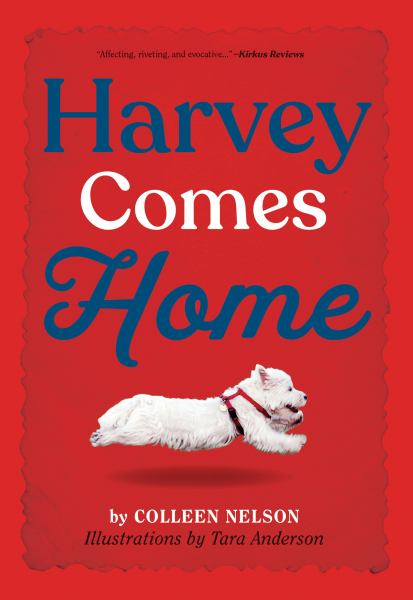 Harvey comes home (Harvey Stories, Book 1)