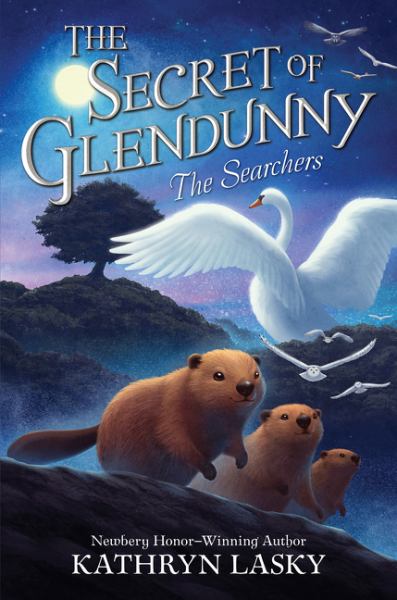The searchers (Secret of Glendunny, Book 2)