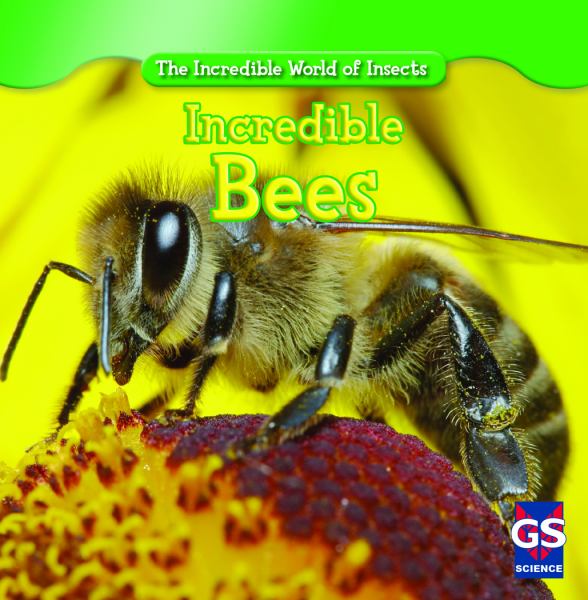 Incredible bees (Incredible World Of Insects)