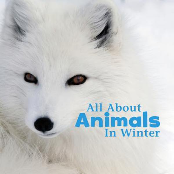 All about animals in winter (Little Pebble: Celebrate Winter)