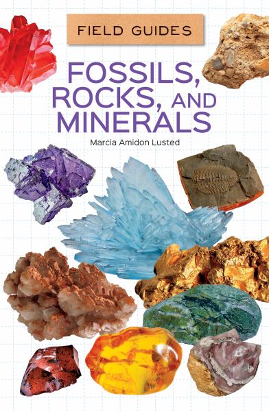 Fossils, rocks, and minerals (Field Guides for Kids)