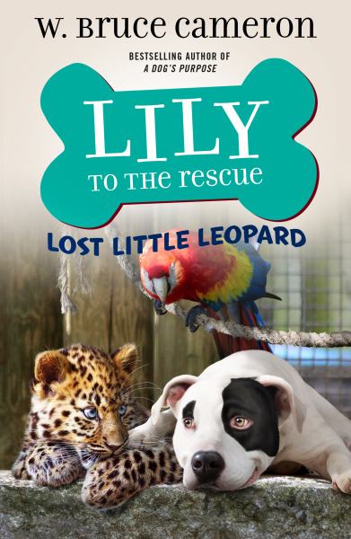 Lost little leopard (Lily to the Rescue!, Book 5)