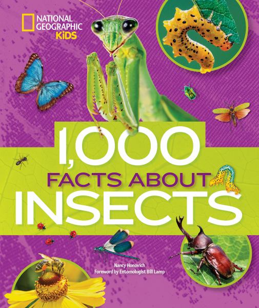 1,000 facts about insects (1000 Facts)