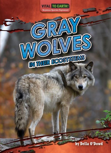 Gray wolves in their ecosystems (Vital to Earth! Keystone Species Explained)