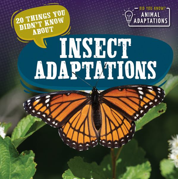 Adapted Insects 20 things you didn't know about insect adaptations (Did You Know? Anim ...