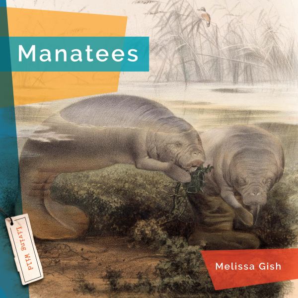Manatees (Living Wild)
