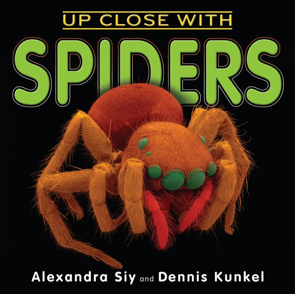 Up close with spiders
