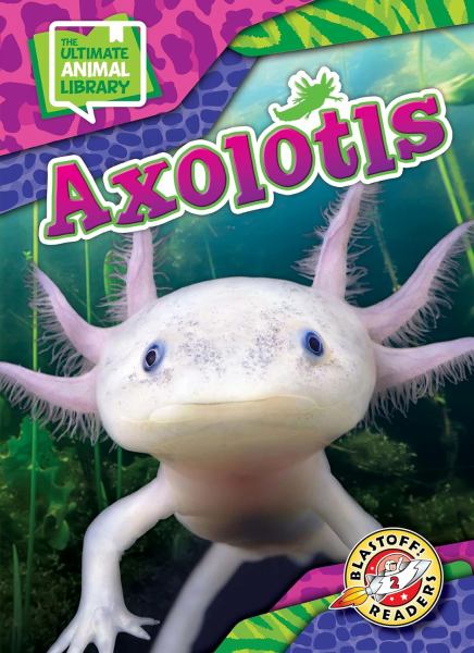 Axolotls (Blastoff! Readers Level 2: The Ultimate Animal Library)