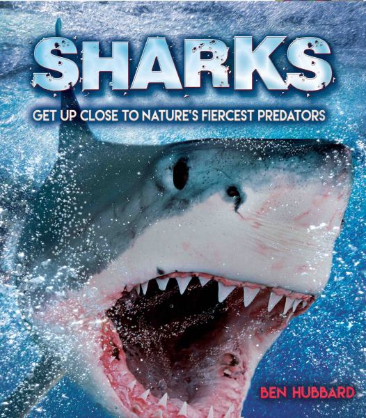 Sharks : get up close to nature's fiercest predators