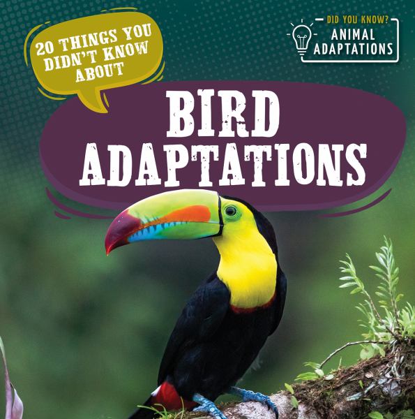 20 things you didn't know about bird adaptations (Did You Know? Animal Adaptations)